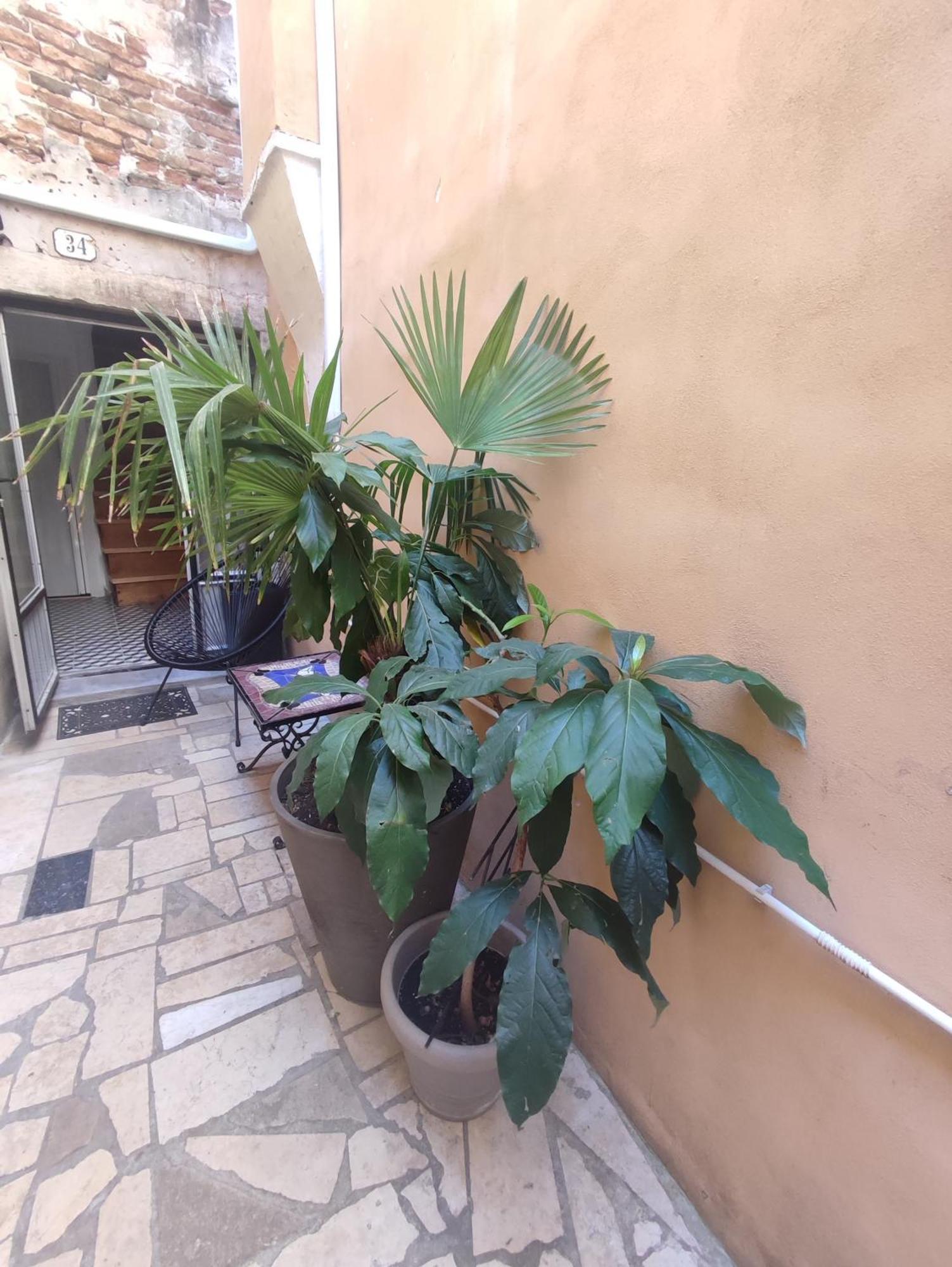 Studio Barka Rovinj Zewnętrze zdjęcie